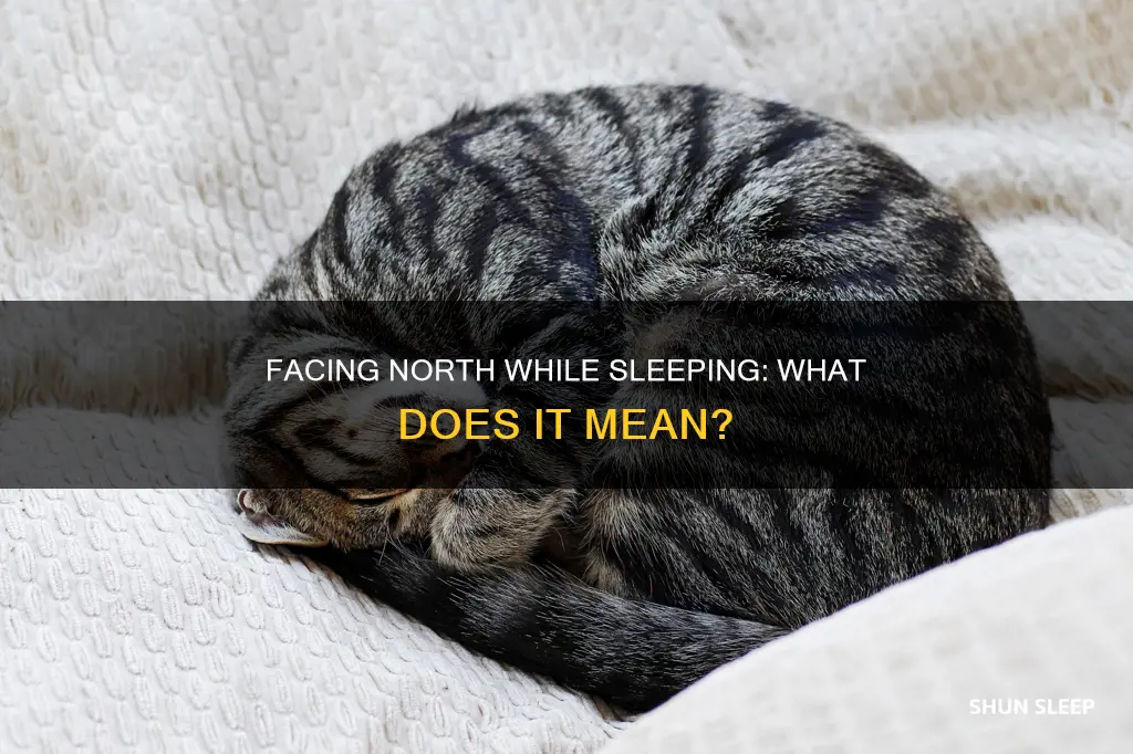 what does it mean to sleep facing north