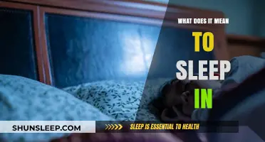 The Lazy Morning: Sleeping In Explained