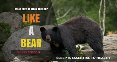 Hibernate Like a Bear: Secrets to Deep Sleep