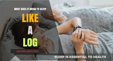 The Science of Sleeping Like a Log
