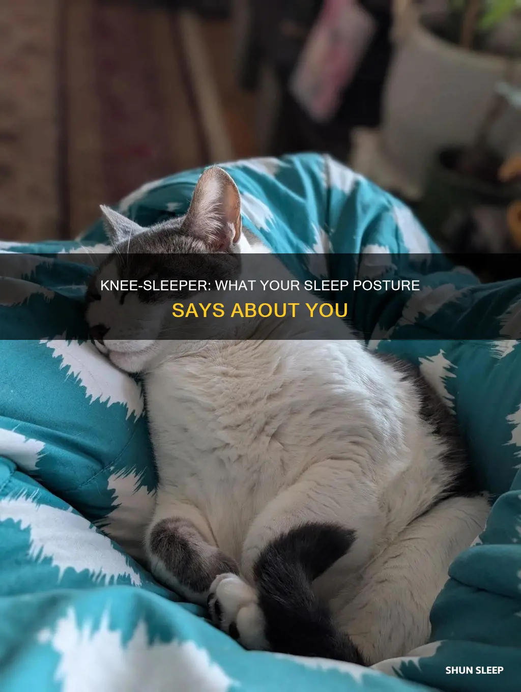 what does it mean to sleep with knees up