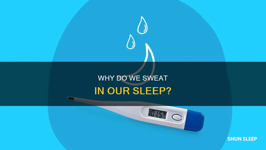 what does it mean to sweat in your sleep