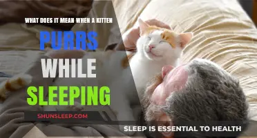 Why Do Kittens Purr in Their Sleep?