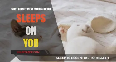 Why Does Your Kitten Sleep on You?