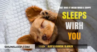 Why Your Puppy Sleeps With You: Understanding the Bond