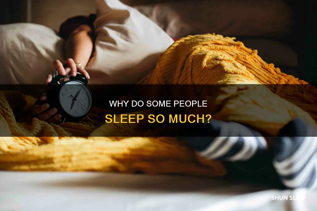 what does it mean when a person sleeps a lot
