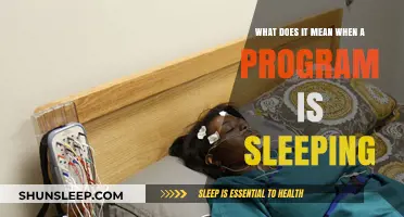 Understanding the State of Sleeping Programs