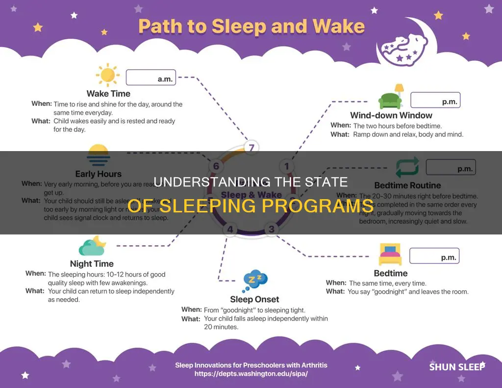 what does it mean when a program is sleeping