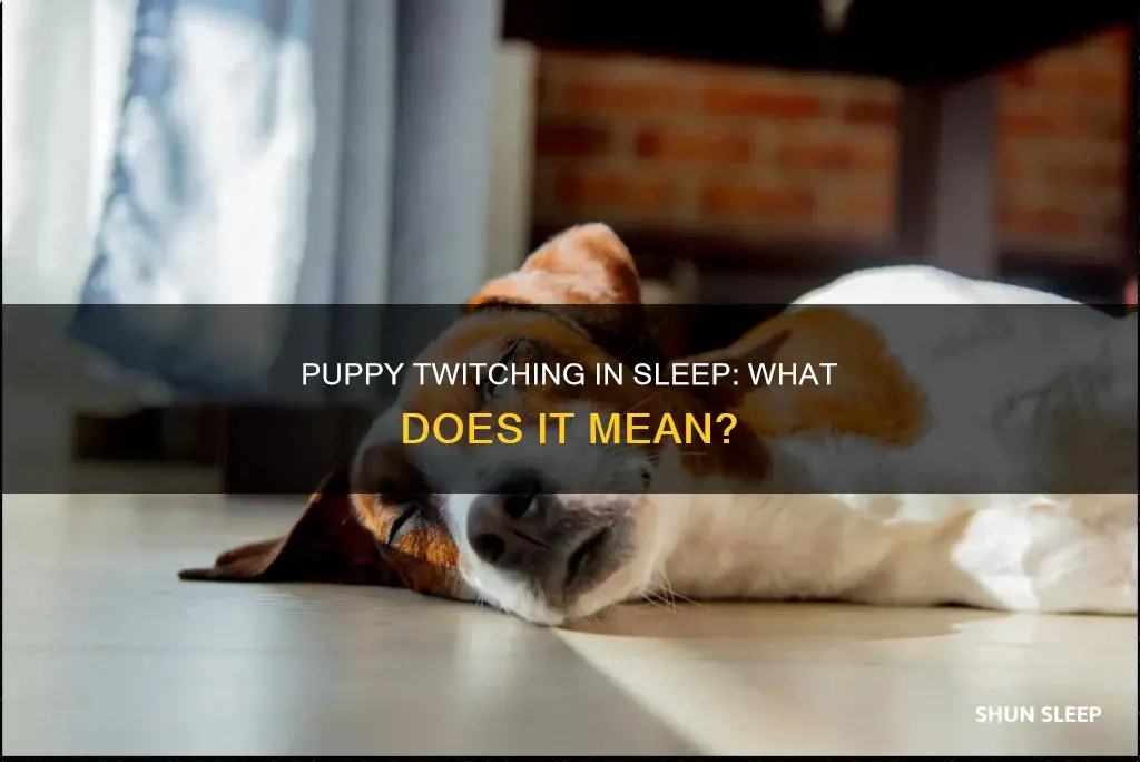 what does it mean when a puppy twitches while sleeping