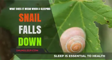 Why Do Snails Fall When Asleep?