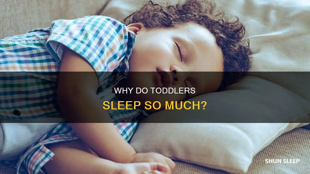 what does it mean when a toddler sleeps a lot