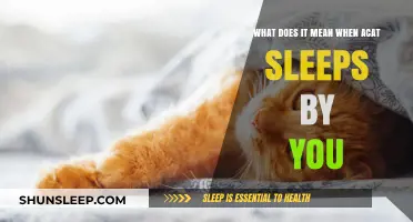 Why Does Your Cat Sleep by You?