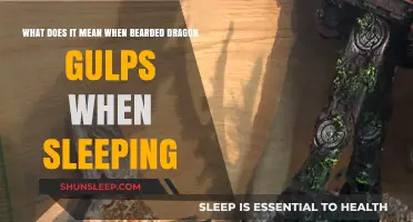 Bearded Dragon Gulping in Sleep: What Does It Mean?