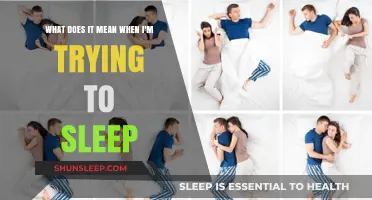 Exploring the Intricacies of Falling Asleep