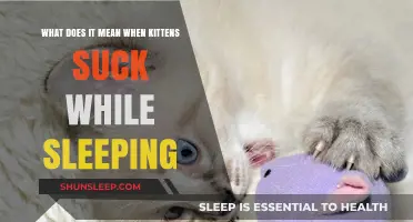 Why Do Kittens Suck While Sleeping?