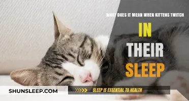 Why Do Kittens Twitch in Their Sleep?