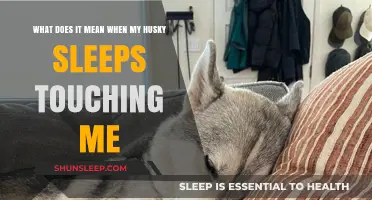 Why Does My Husky Sleep Touching Me?