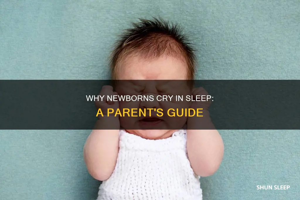 what does it mean when newborns cry in their sleep