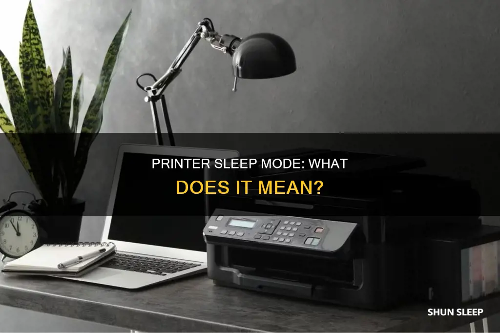 what does it mean when printer is sleep