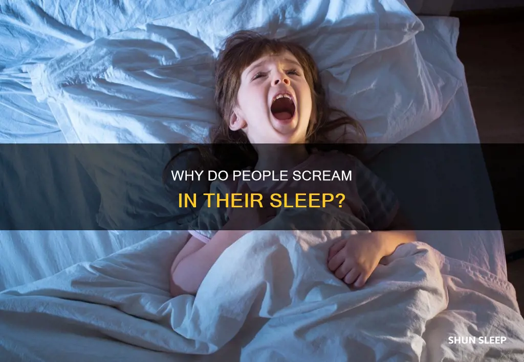 what does it mean when someone screams in their sleep