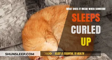 Why Do People Sleep Curled Up Like a Fetus?