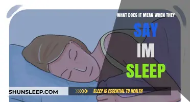 Sleep Talk: Understanding the Subconscious Mind