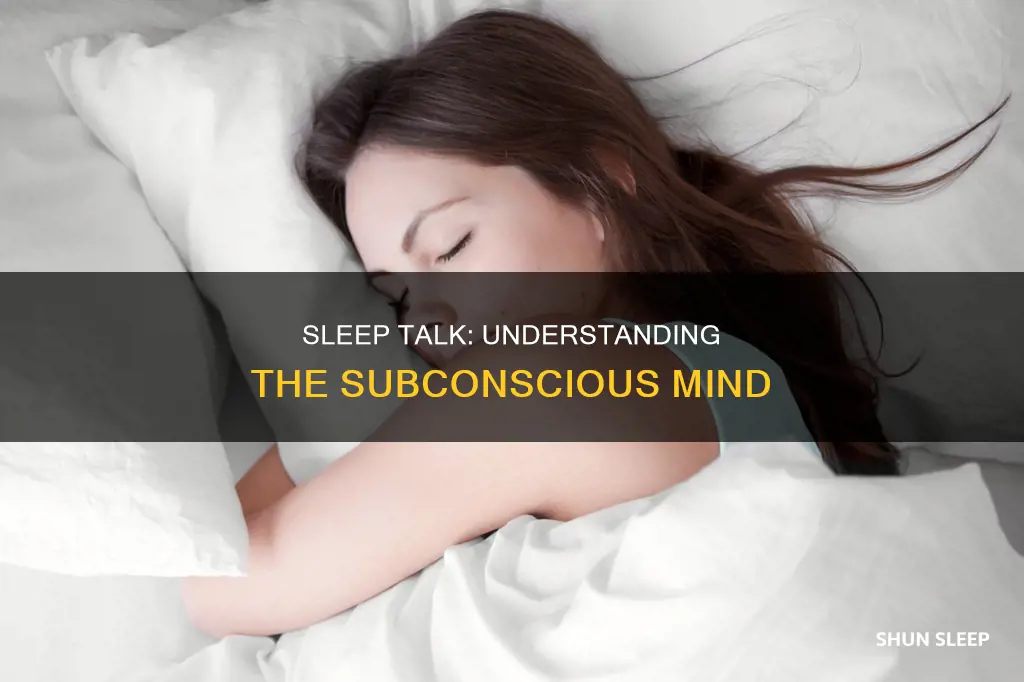 what does it mean when they say im sleep