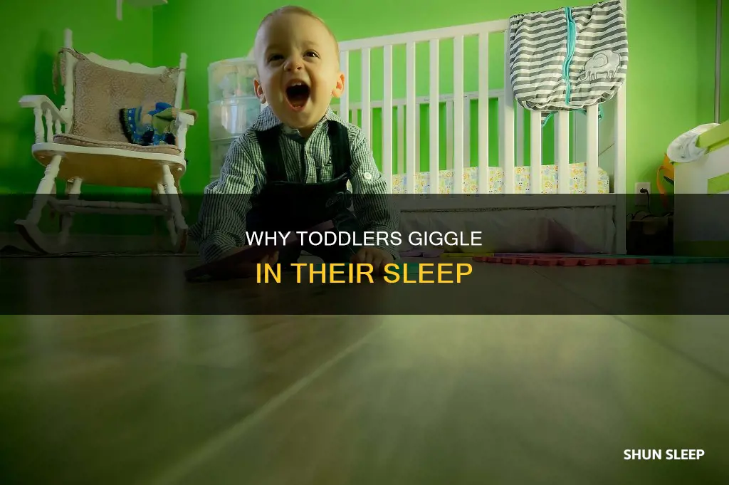 what does it mean when toddlers laugh in their sleep