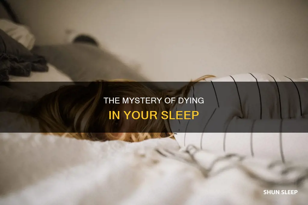 what does it mean when u die in your sleep