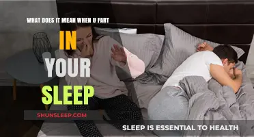 Farting in Your Sleep: What Your Body is Telling You