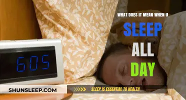 Why Do You Sleep All Day?