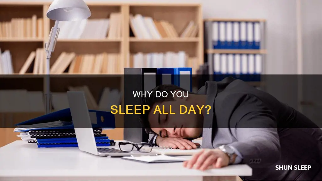 what does it mean when u sleep all day