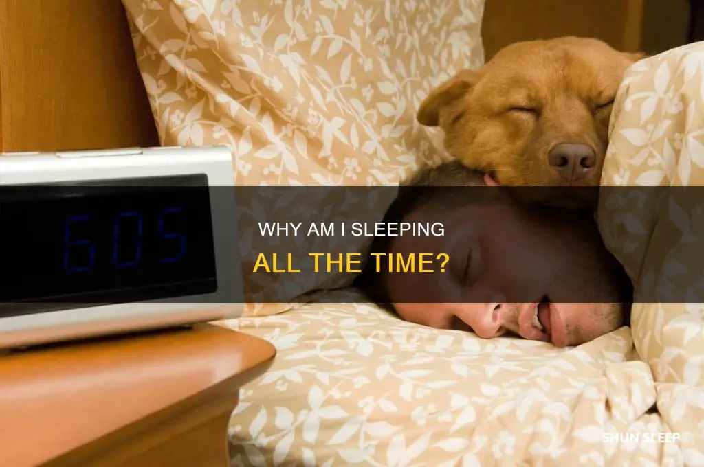 what does it mean when u sleep all the time