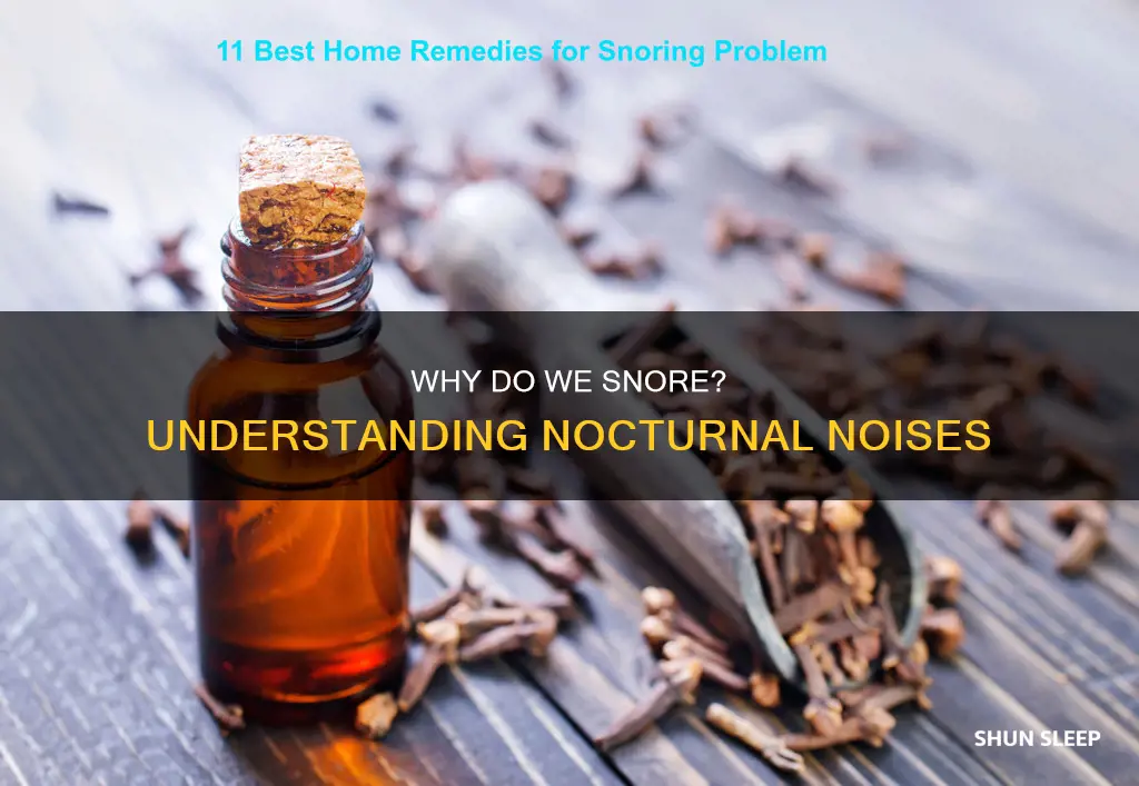 what does it mean when u snore in your sleep