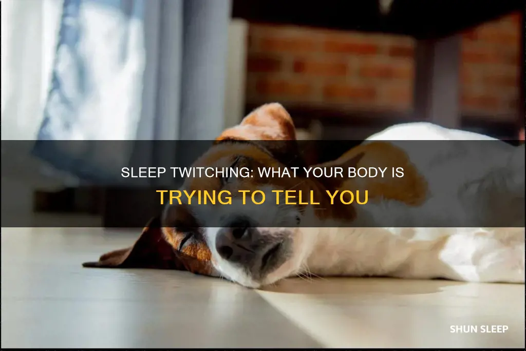 what does it mean when u twitch in ur sleep