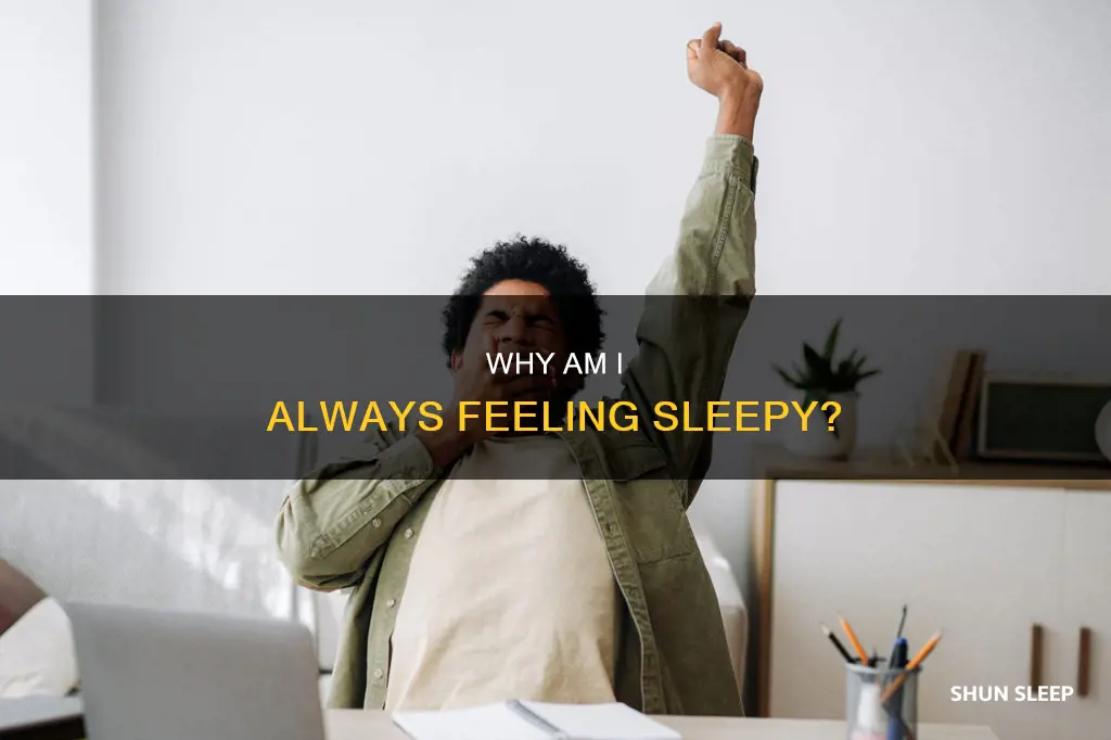 what does it mean when you always want to sleep
