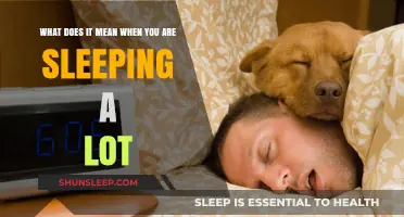 Why Am I Sleeping So Much?