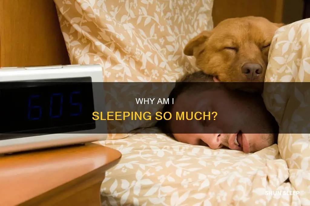 what does it mean when you are sleeping a lot
