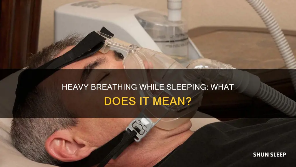 what does it mean when you breathe heavy while sleeping