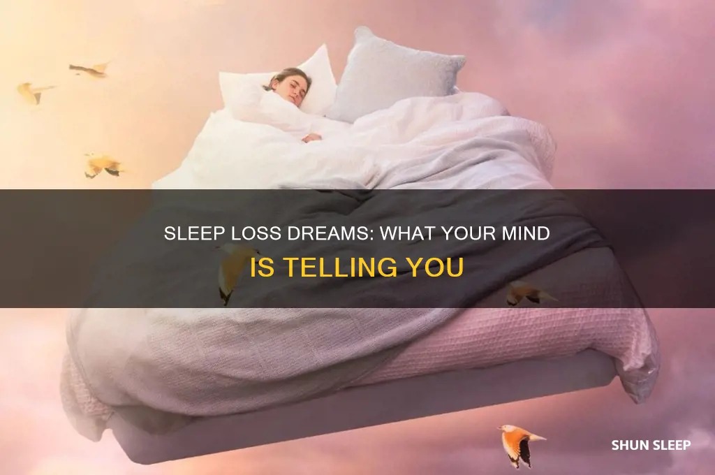 what does it mean when you dream about losing sleep