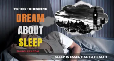 Sleep Dreaming: What Does It Really Mean?