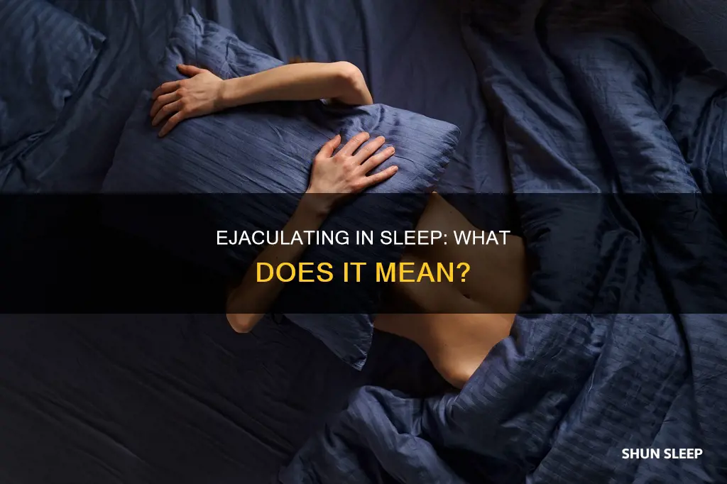 what does it mean when you ejaculate in your sleep