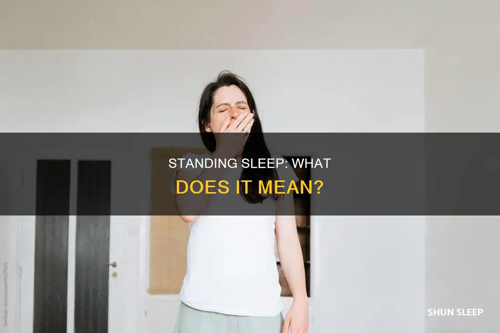 what does it mean when you fall asleep standing up