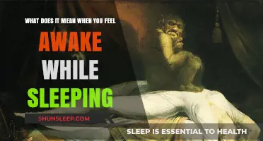 The Mystery of Sleep: Awake but Asleep