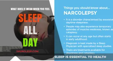 Why Do I Feel Sleepy All Day?