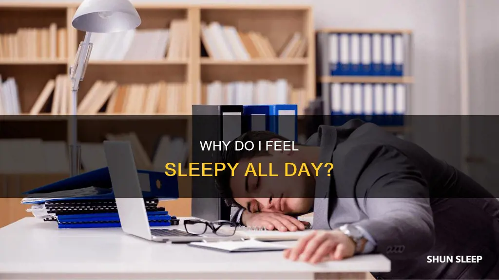 what does it mean when you feel sleep all day