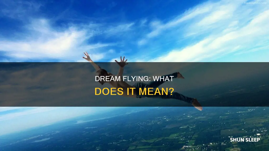 what does it mean when you fly in your sleep