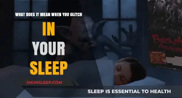 The Mystery of Sleep: Why Do We Glitch?