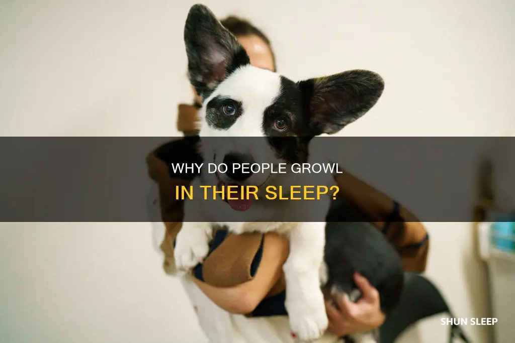 what does it mean when you growl in your sleep