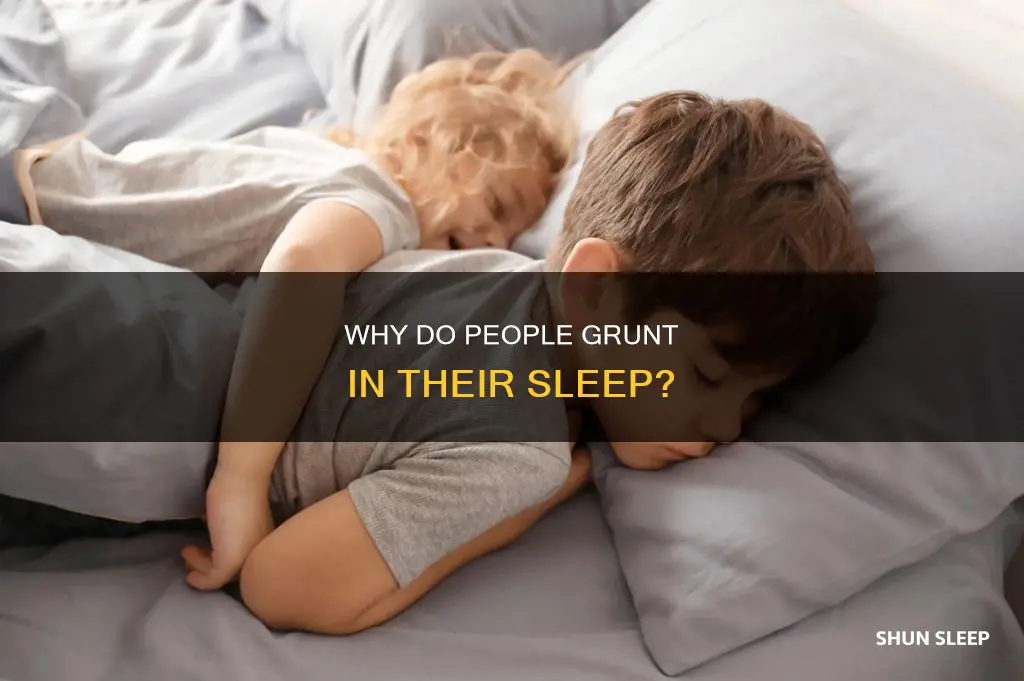 what does it mean when you grunt in your sleep